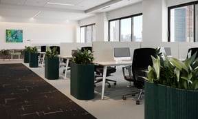 cig-cozy-gallery-59655BP-AllSfar-Bloom-Planters--Stadium-Design-hd-JPA-Workspaces