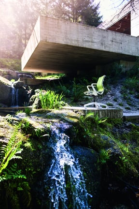 se_joy_milieu_natur_1